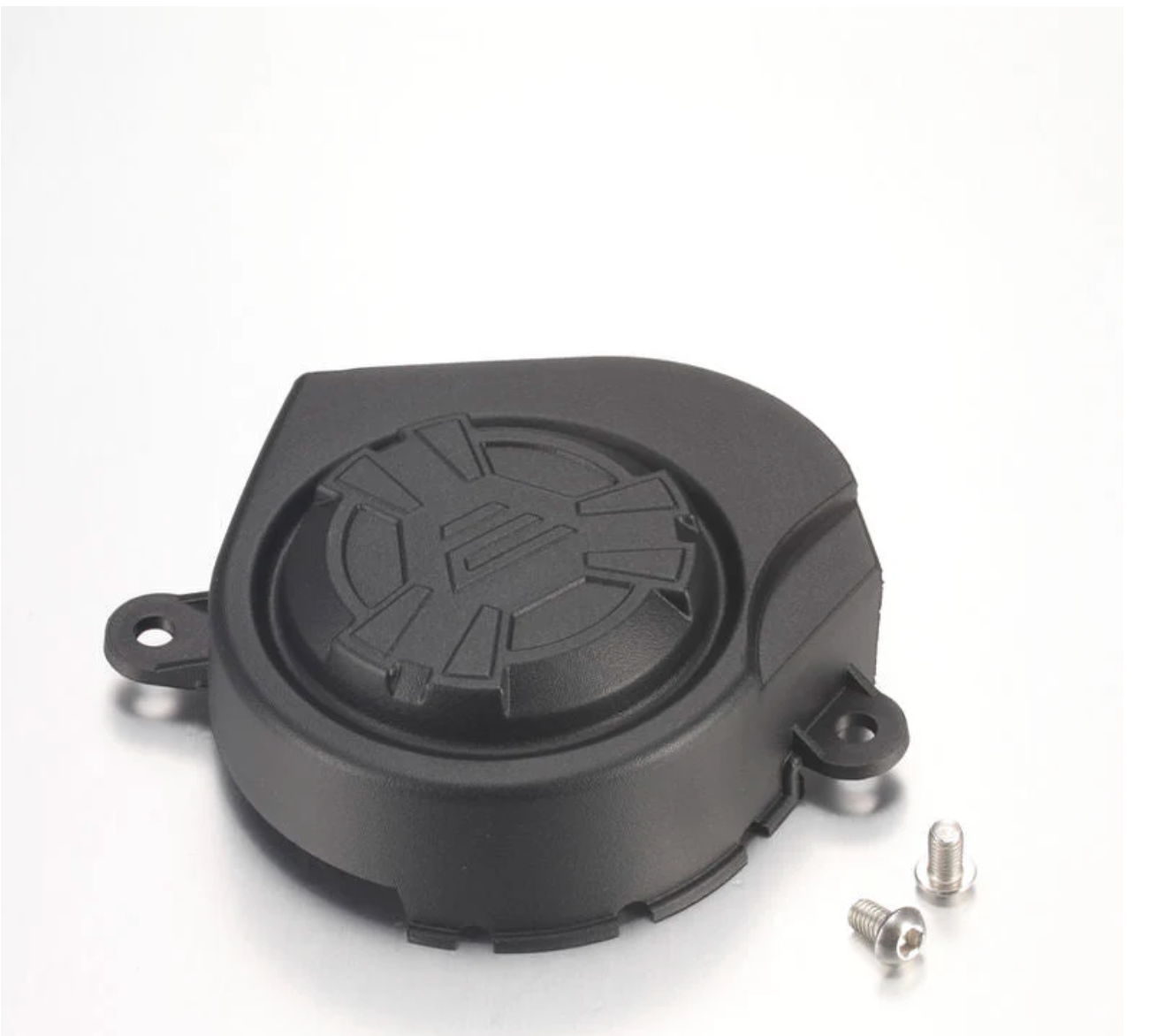 Ignition Cover Plate (with 2 screws) - E-Ride Pro