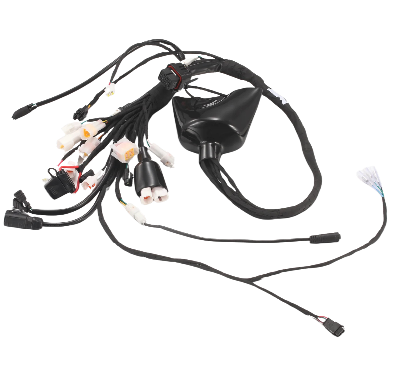 main wiring harness - E-Ride Pro SR