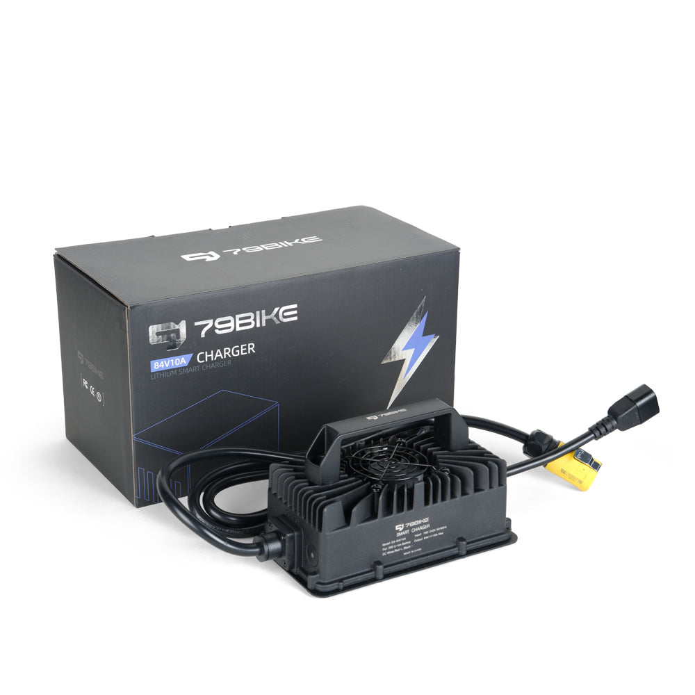 Falcon GT Battery Charger