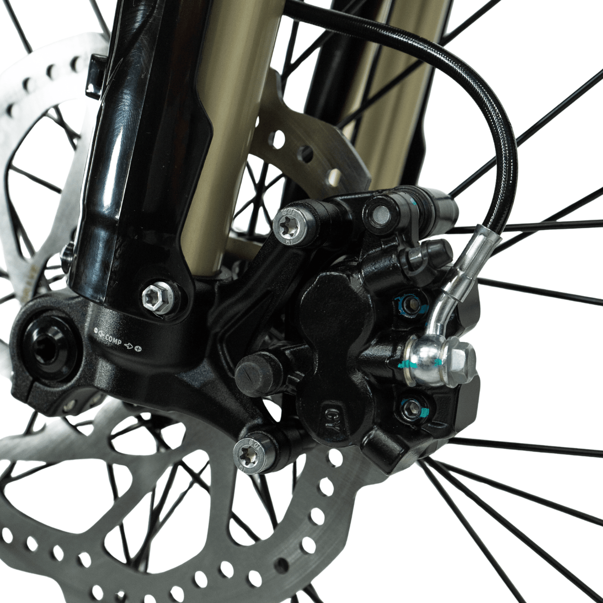 Arctic Leopard XE Pro R gold KKE 37mm USD fork detail