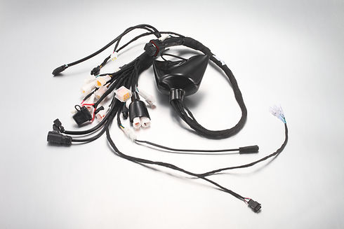 main wiring harness - E-Ride Pro SR