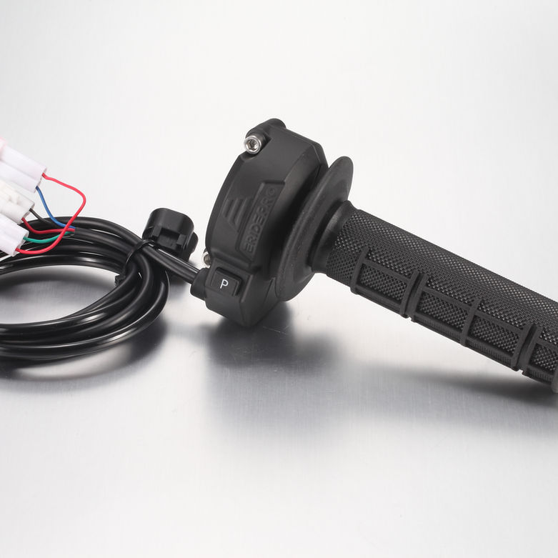 Throttle(with P &head light/tail light swich ) - E-Ride Pro