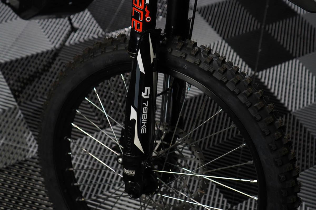 79Bike Falcon Lite falcon-lite-detail-fork-front-wheel.webp