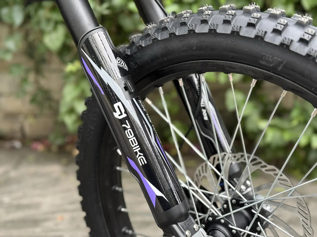 79Bike Falcon Pro detail fork