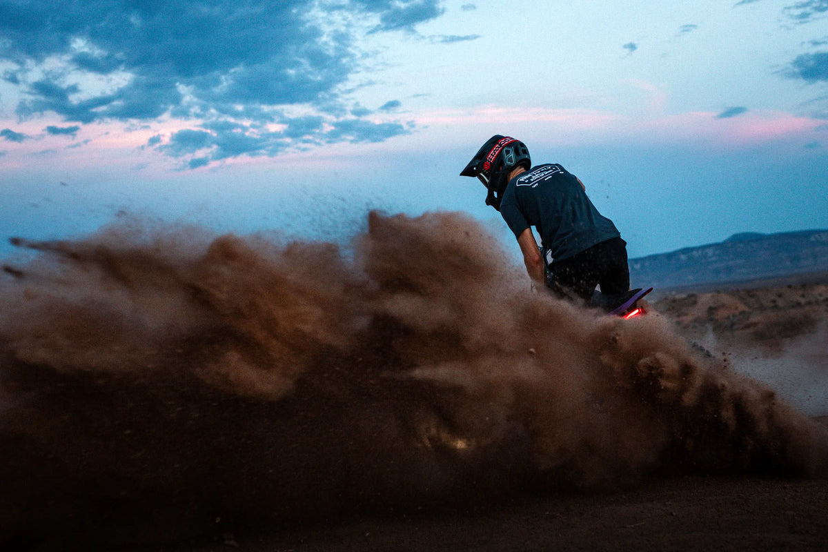 79Bike Lynx roosting desert dirt
